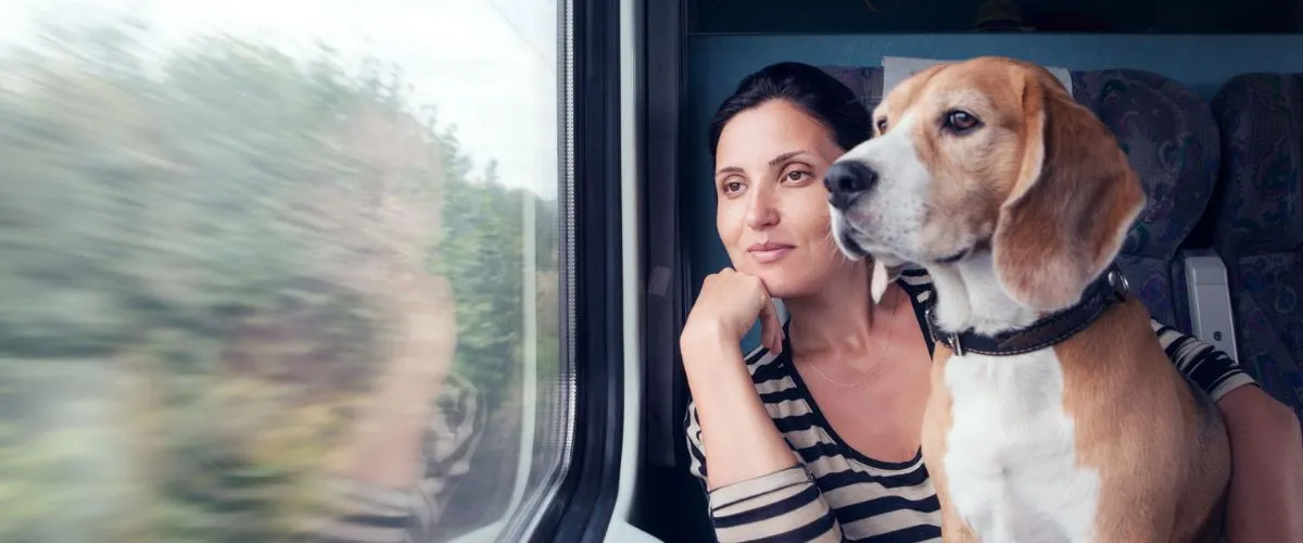 Amtrak Service Animal Policy – Traveling with Service Animals