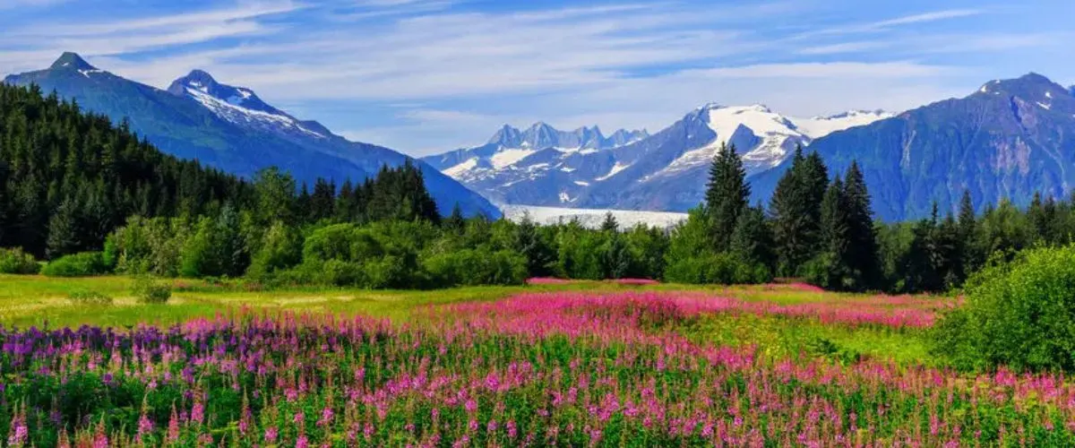 Amtrak to Alaska from Chicago – Complete Travel Guide