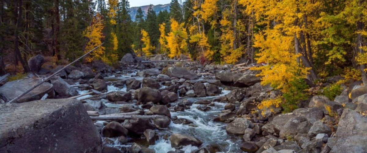 Amtrak Seattle to Leavenworth – Complete Train Travel Guide